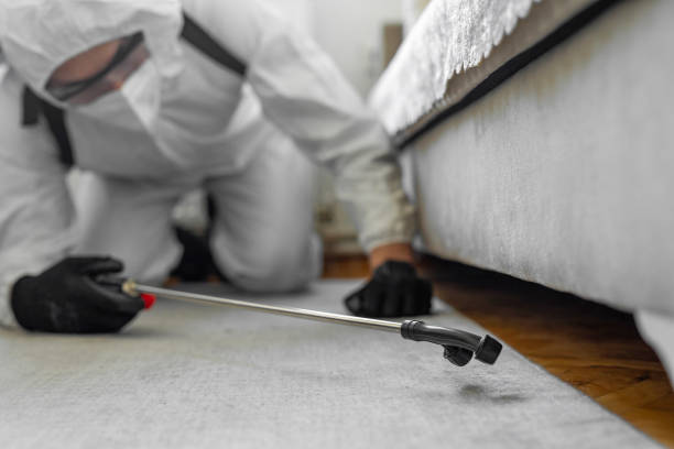 Professional Bed Bug Control technician working in Detroit Lakes, MN
