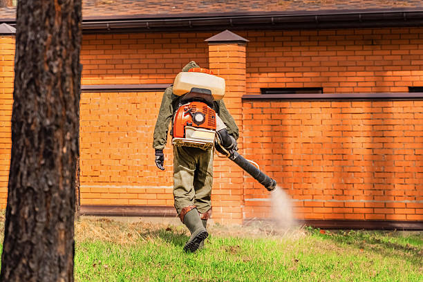 Trusted Bed Bug Control service in Detroit Lakes, MN - Nex Pest Control